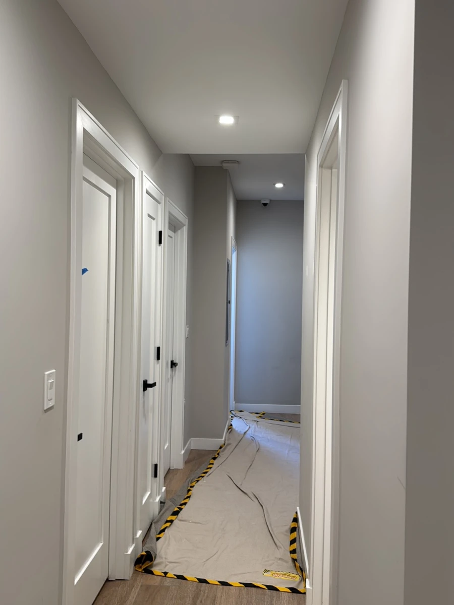 Front-Door-Painters-Chicago